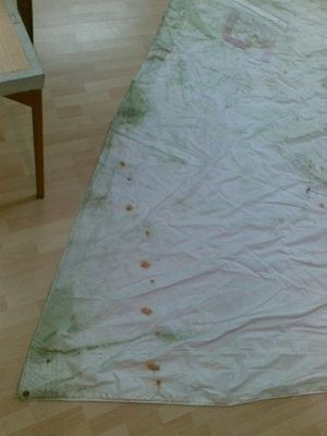 Purjeiden puhdistus (fokka, isopurje, spinaakkeri, jne)