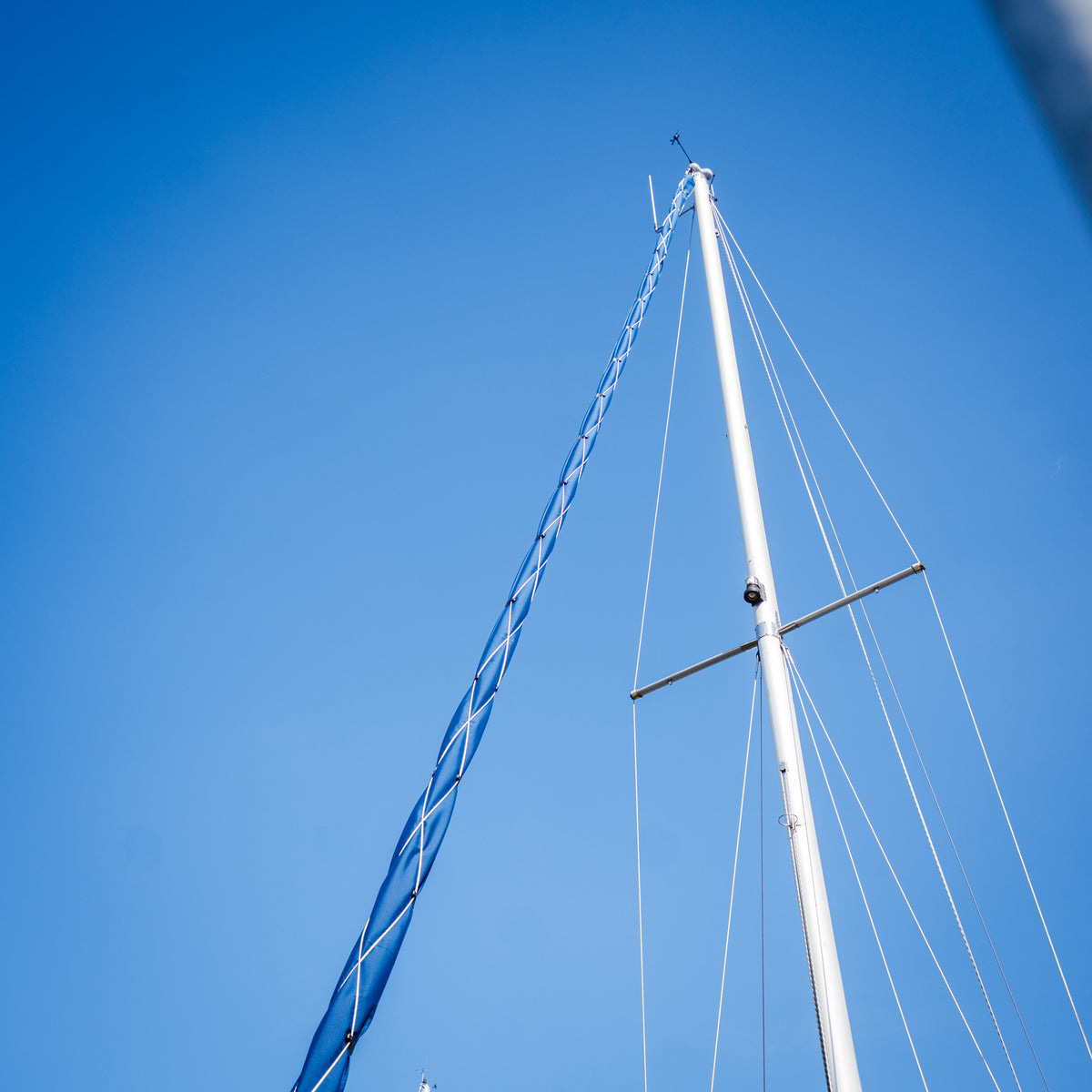 In sfeer afbeelding Saliseal rolfokhoes