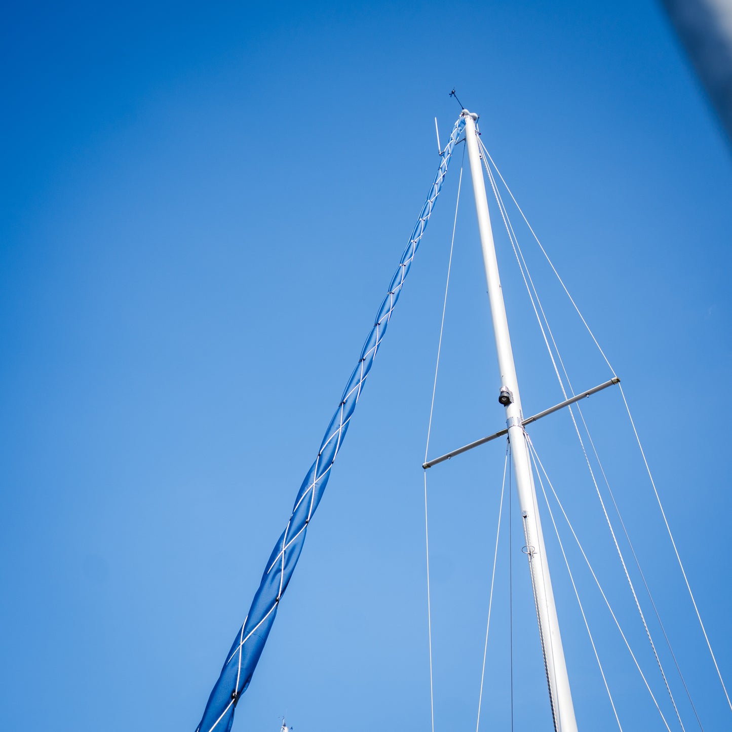 In sfeer afbeelding Saliseal rolfokhoes