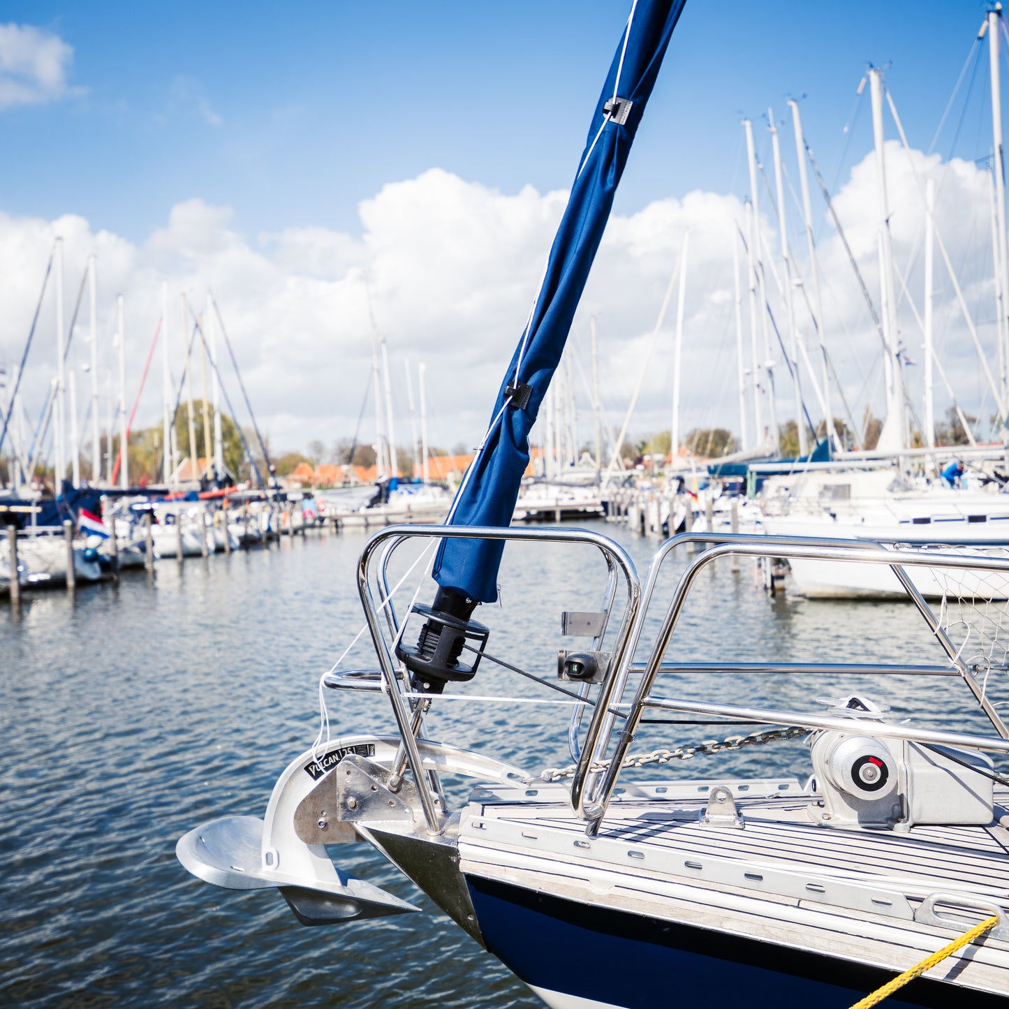 Saliseal rolfokhoes sfeerafbeelding