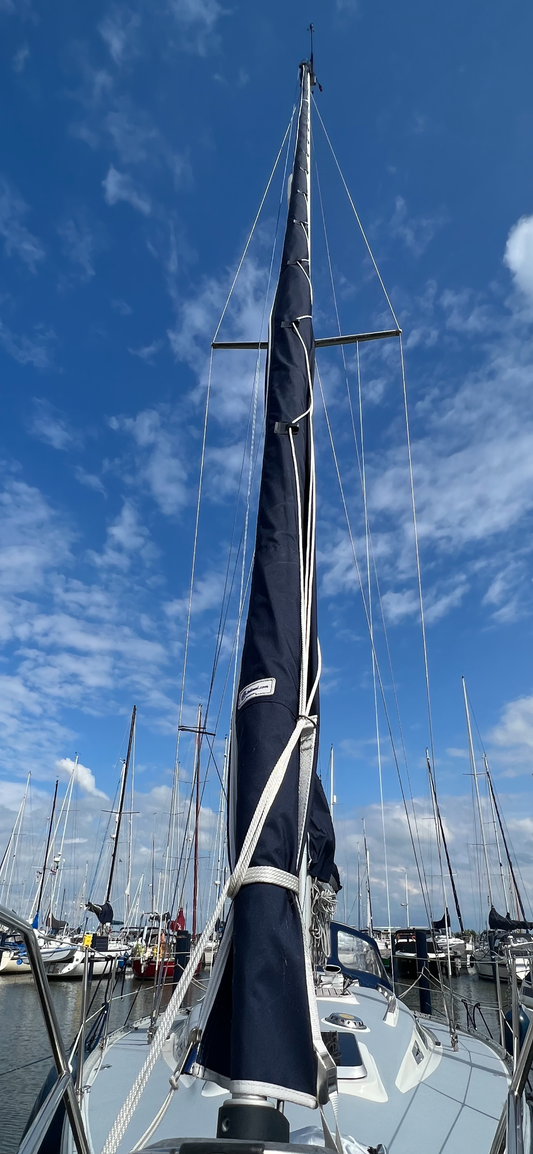 Rolfokhoes / Genuahoes