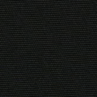 2881 Negro/Black